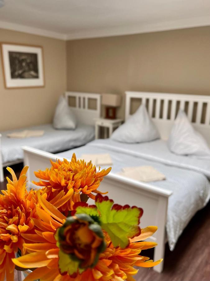 Apartmán Galerie Decin Kültér fotó