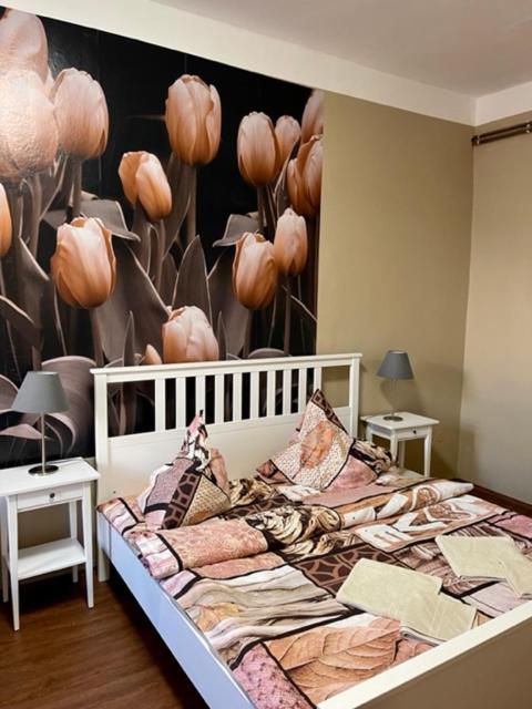 Apartmán Galerie Decin Kültér fotó