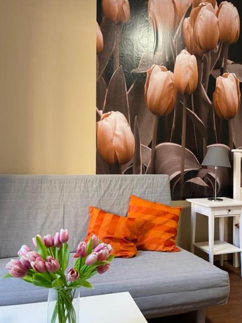 Apartmán Galerie Decin Kültér fotó
