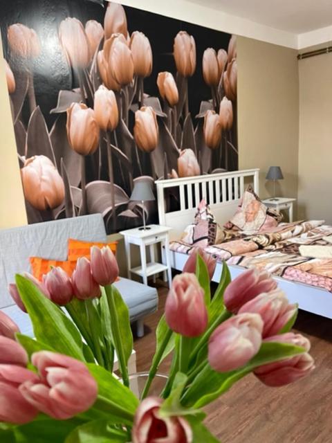 Apartmán Galerie Decin Kültér fotó