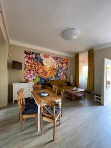 Apartmán Galerie Decin Kültér fotó